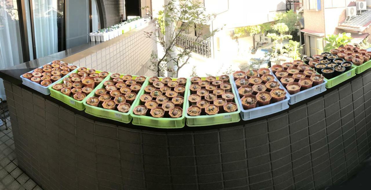 Nakagawa'S Cozy House Apartment Sakai  Exterior photo